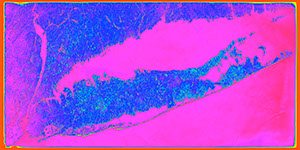 Long_Island_Landsat_Mosaicpink10x20