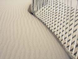 sand fence