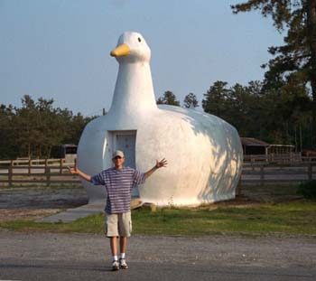 The Big Duck in Flanders